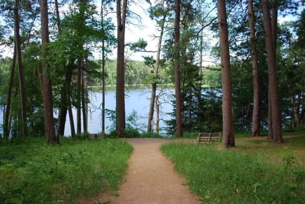 Preacher's Grove