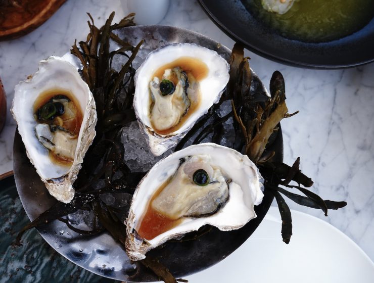 Boho Restaurant oysters
