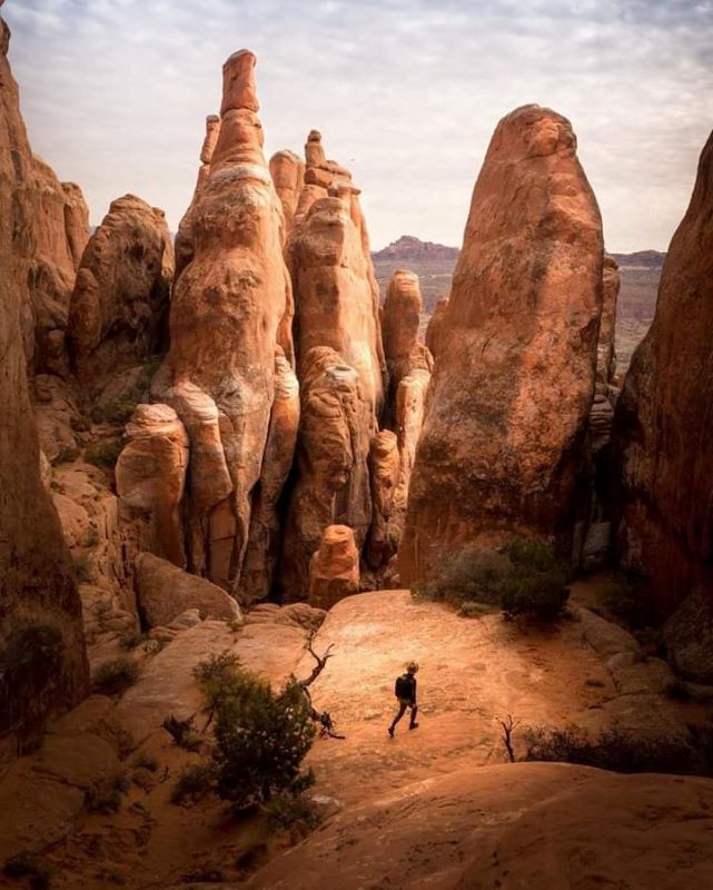 Fiery Furnace
