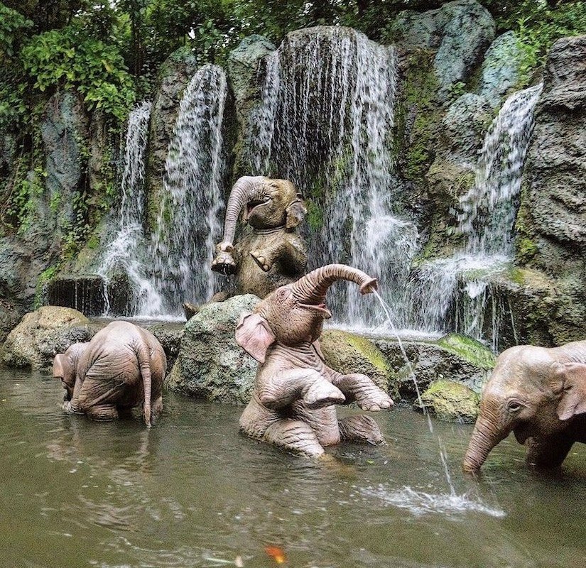 Jungle Cruise ride Magic Kingdom 