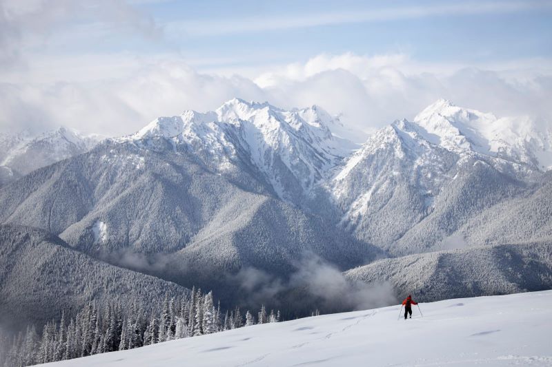 Hurricane Ridge