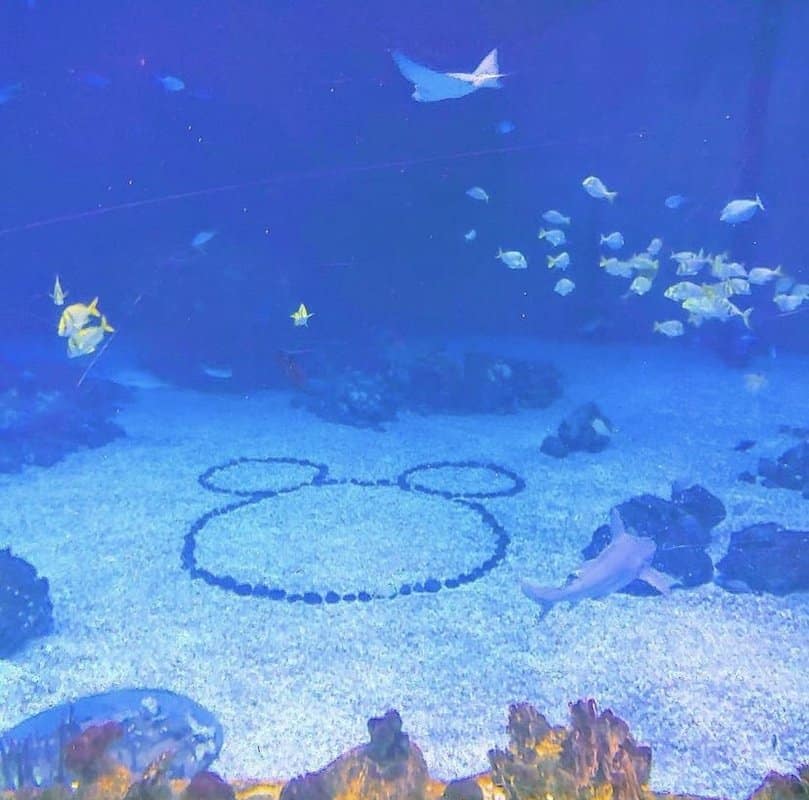 hidden mickeys