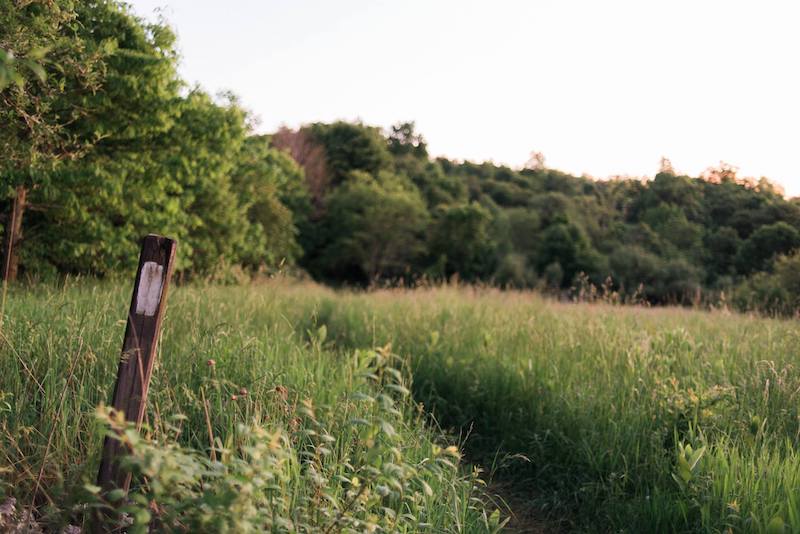 Appalachian Trail Conservancy