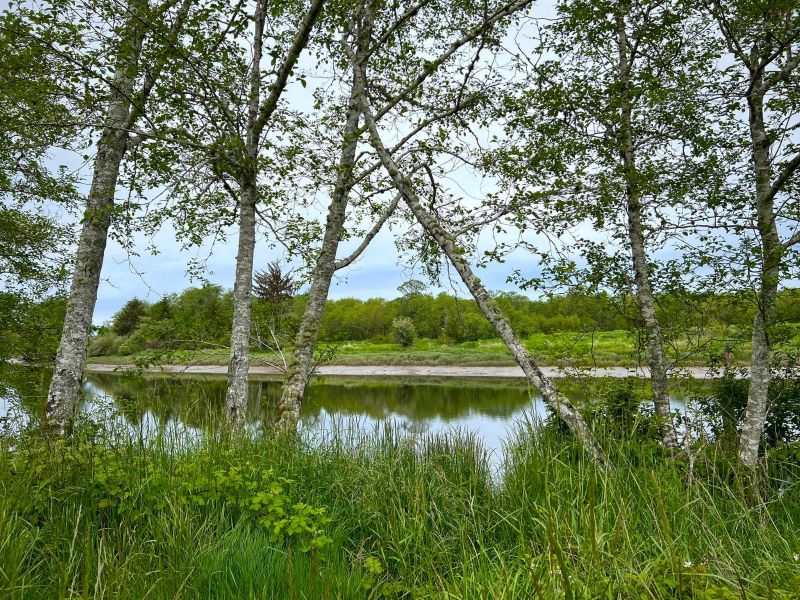Netul Landing