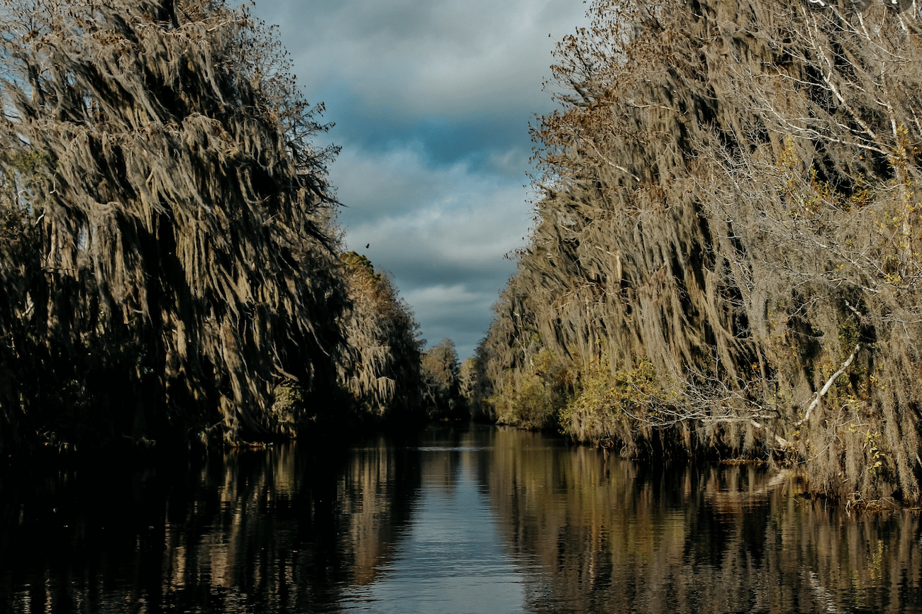 Okefenokee Adventures
