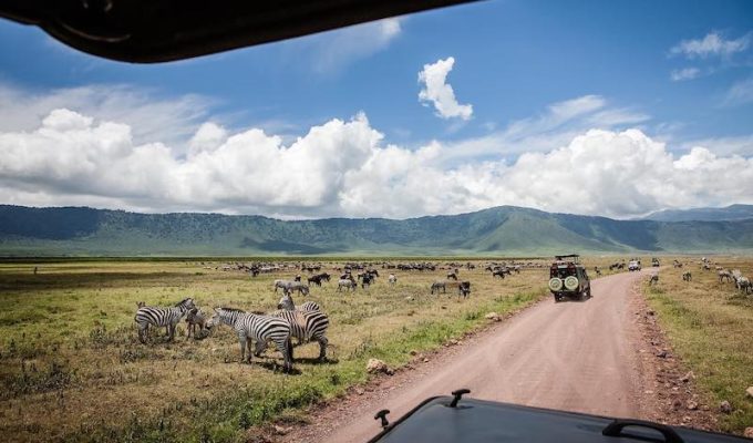 Altezza Travel - Kilimanjaro Expeditions & Safari in Tanzania