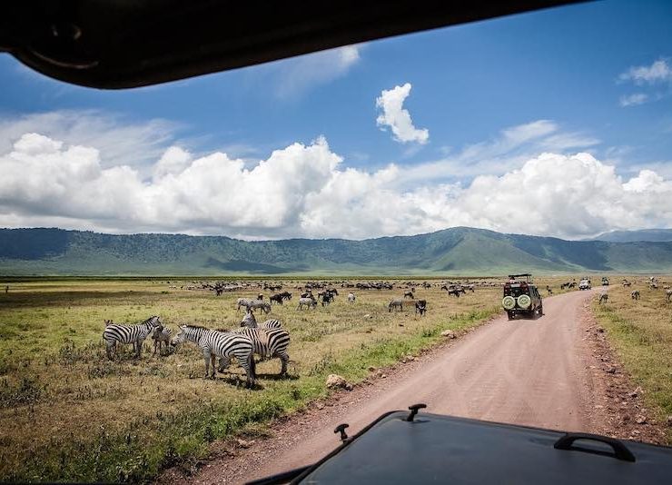 Altezza Travel - Kilimanjaro Expeditions & Safari in Tanzania
