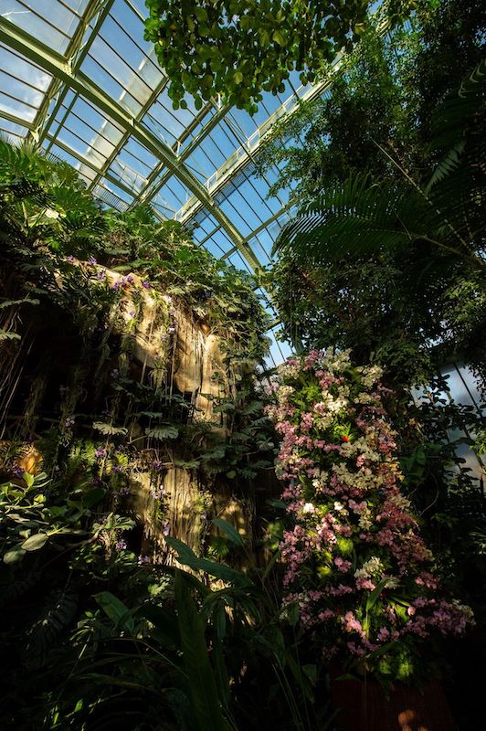 Jardin des Plantes family-friendly Paris
