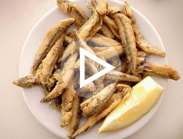 Best Tabernas in Madrid Video
