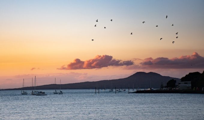 Best Fishing Spots In Auckland