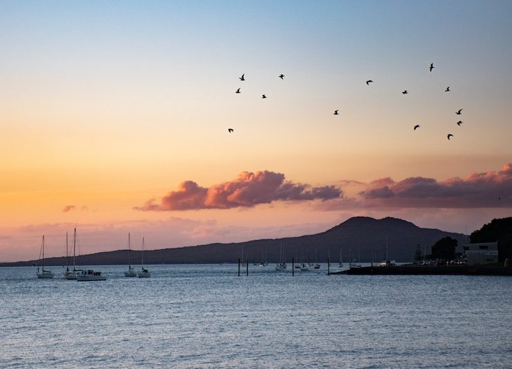 Best Fishing Spots In Auckland