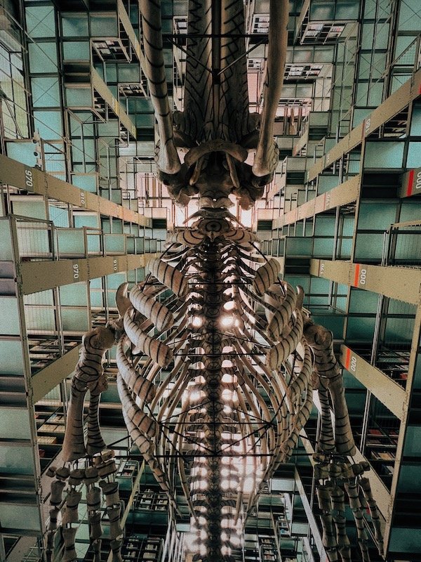 Biblioteca Vasconcelos
