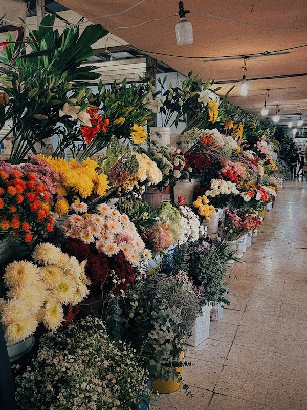 Mercado Medellin