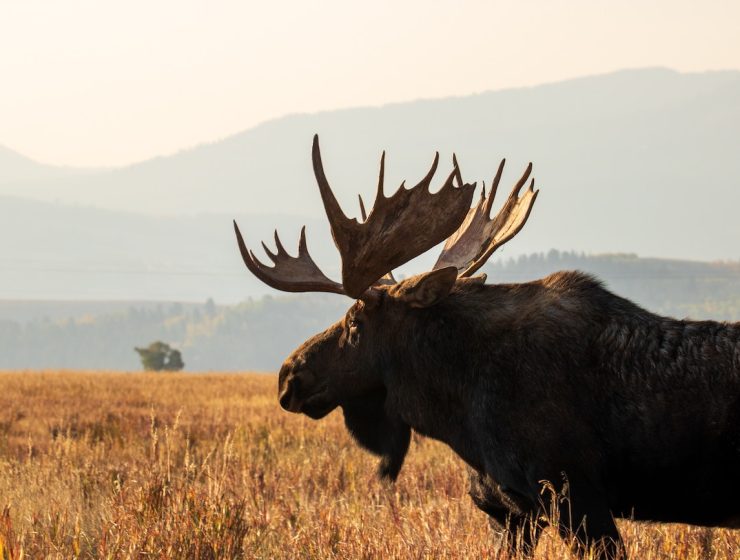 Reflections On The Beauty Of National Parks