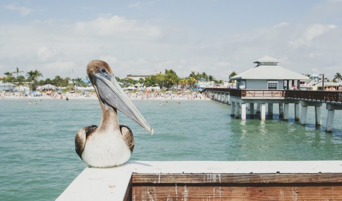 10 Of The Best Family-Friendly Activities To Do In Fort Myers
