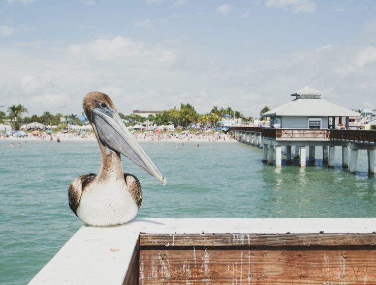 10 Of The Best Family-Friendly Activities To Do In Fort Myers