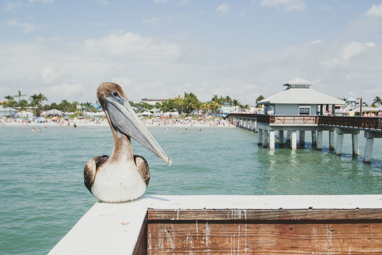 10 Of The Best Family-Friendly Activities To Do In Fort Myers