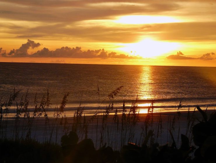 Top 5 Villas for a Luxurious Stay in Florida