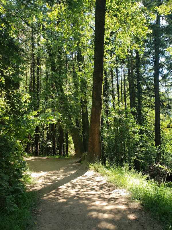 Joaquin Miller hikes photo credit Alice Pope
