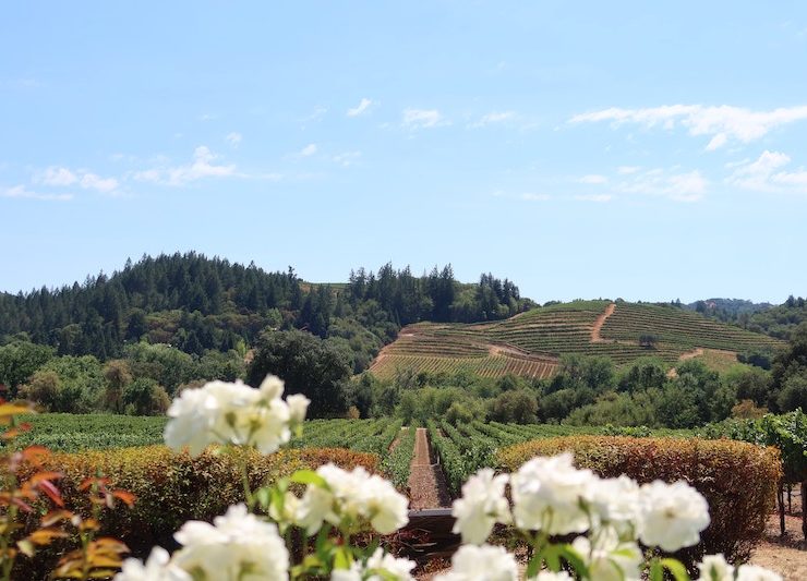Napa Valley