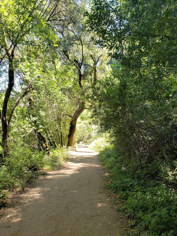 Redwood Regional trail photo credit Alice Pope