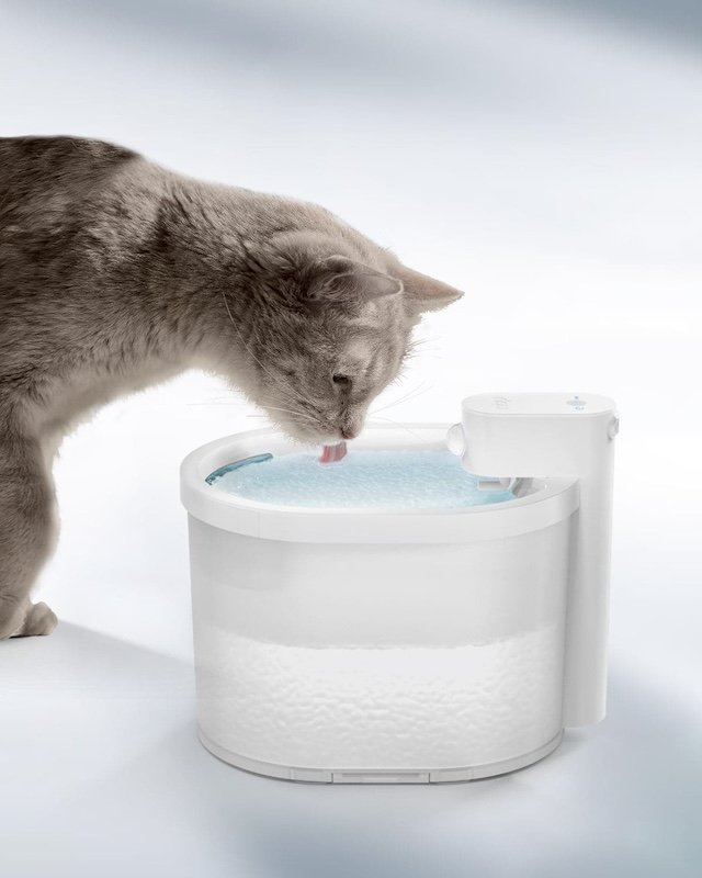 Cat water fountains