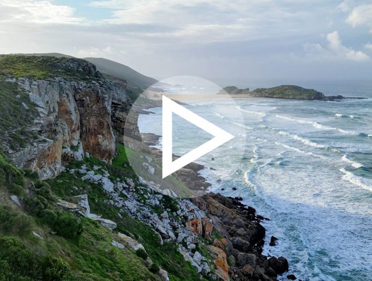 Garden Route Hikes