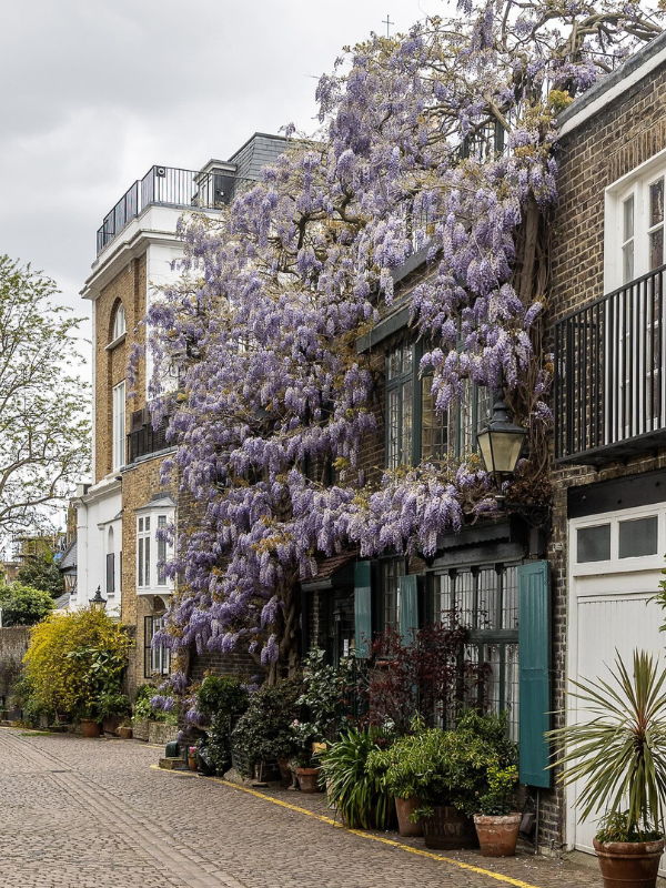 Kensington London neighborhood