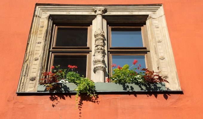 window flower boxes