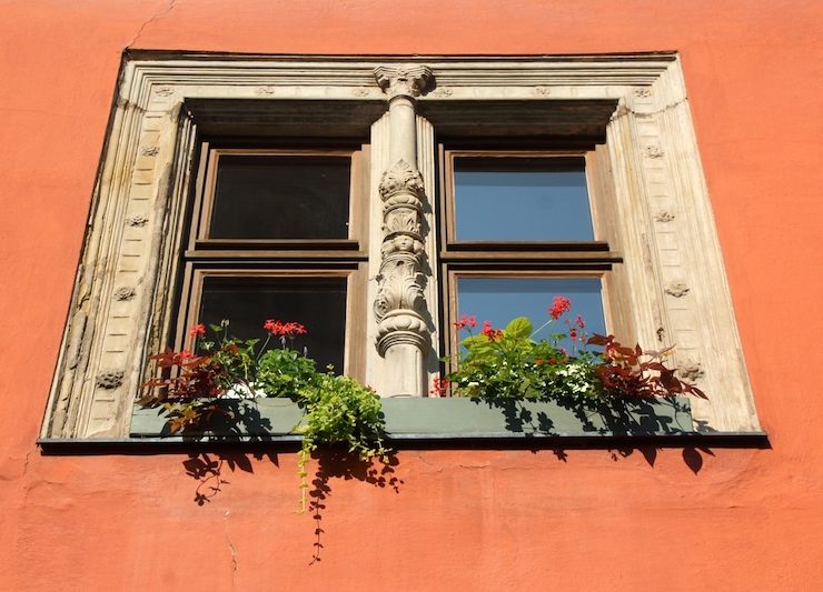 window flower boxes