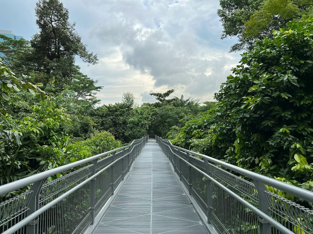 Southern Ridges
