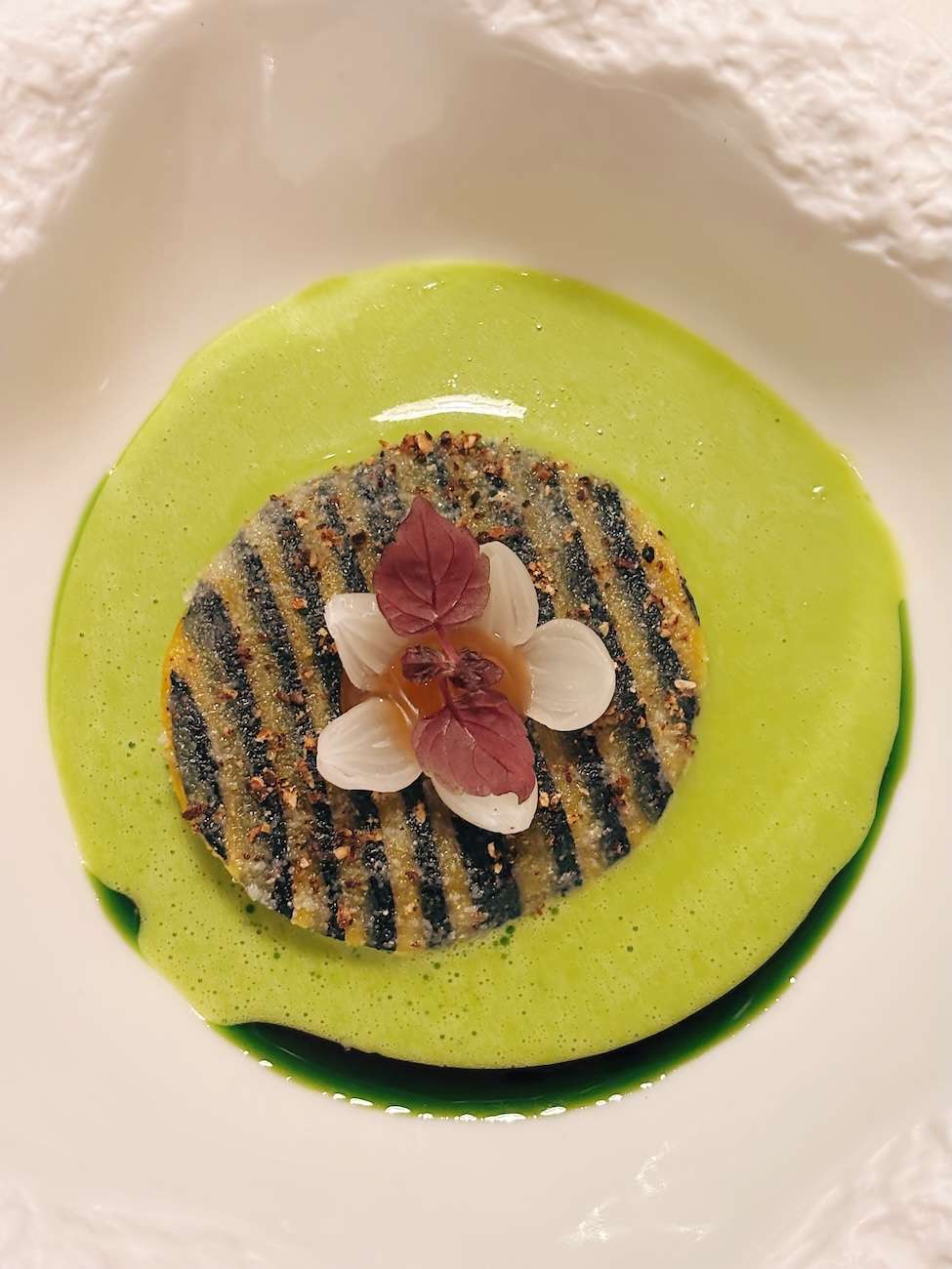 Frog by Adam Handling 26