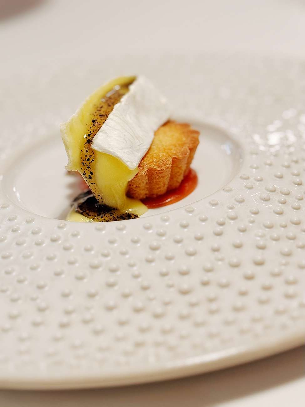 Frog by Adam Handling 26