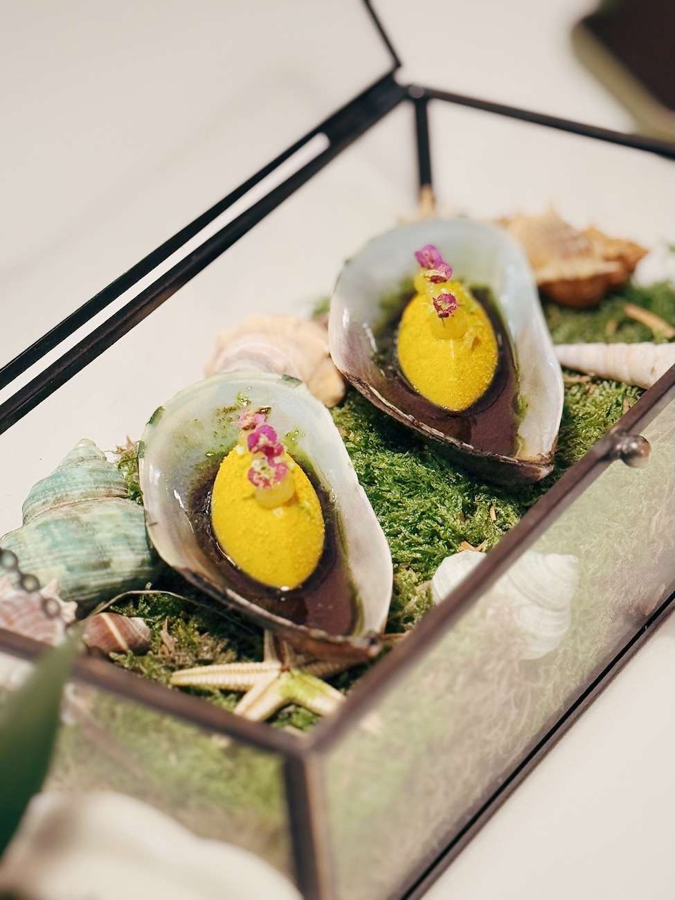 Frog by Adam Handling 26