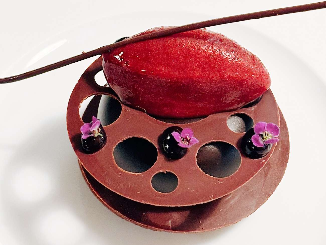 Frog by Adam Handling 26