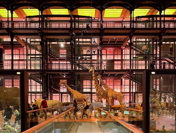 Grande Galerie de L'Evolution