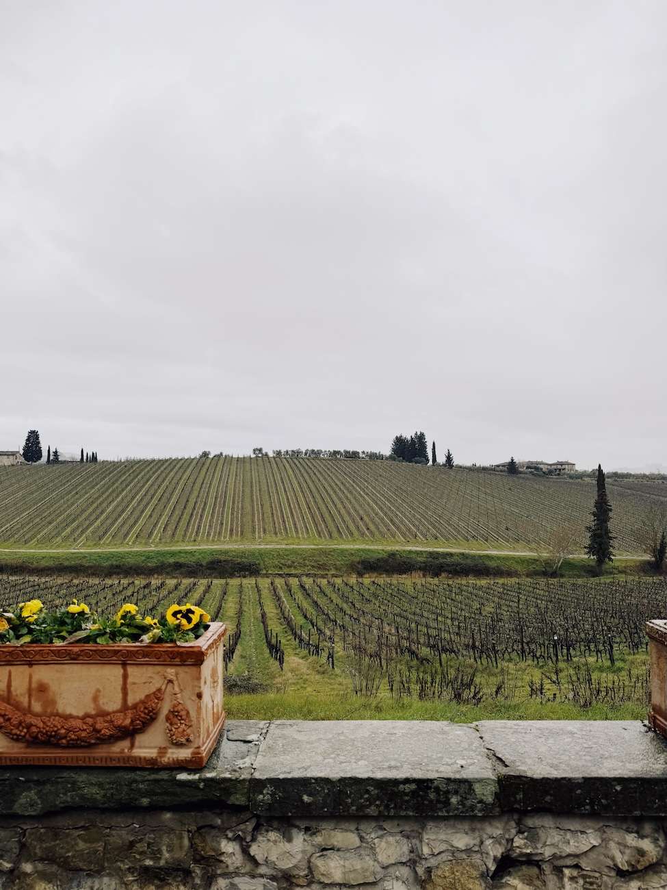 Chianti classico.