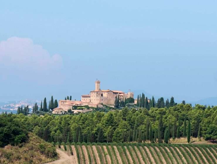 Banfi