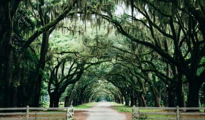American South