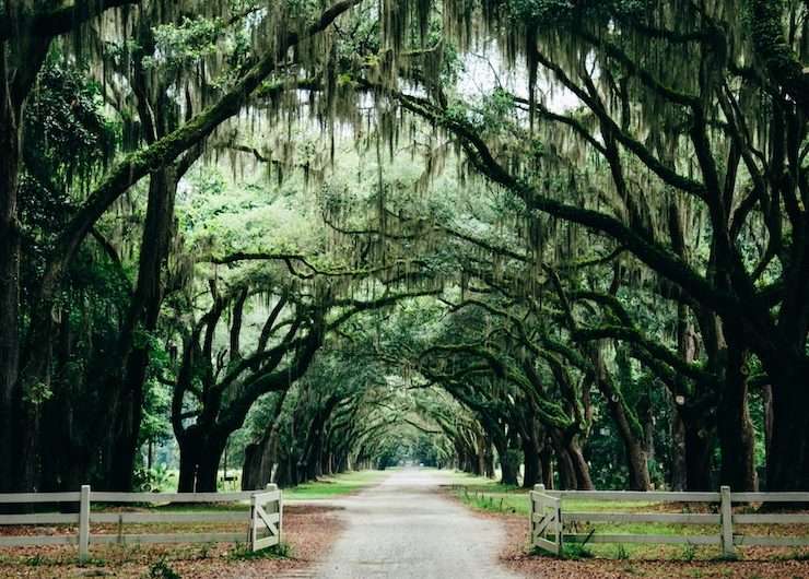 American South