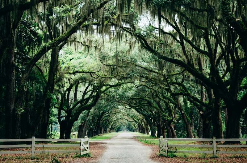 American South