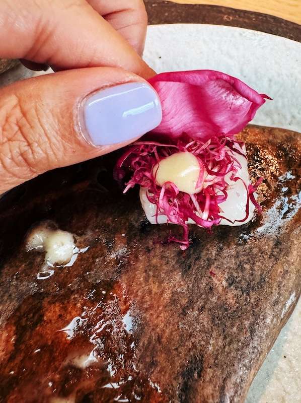 Danish Squid and Roses NOMA