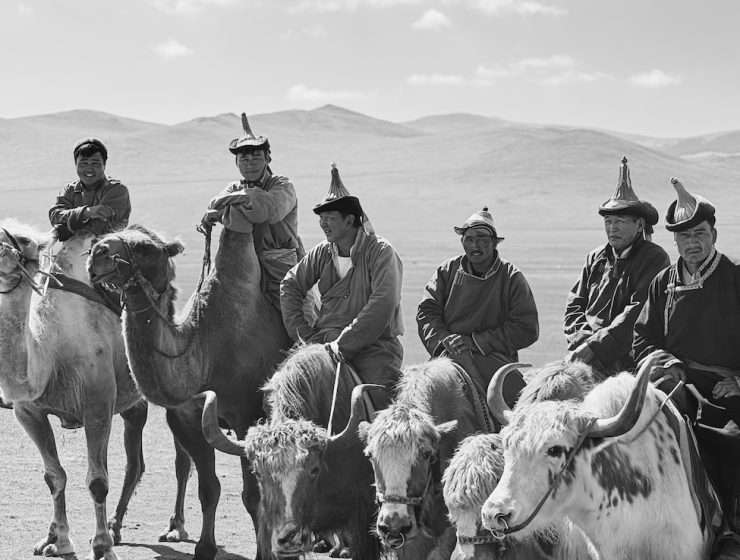 Mongol Nomadic Camp