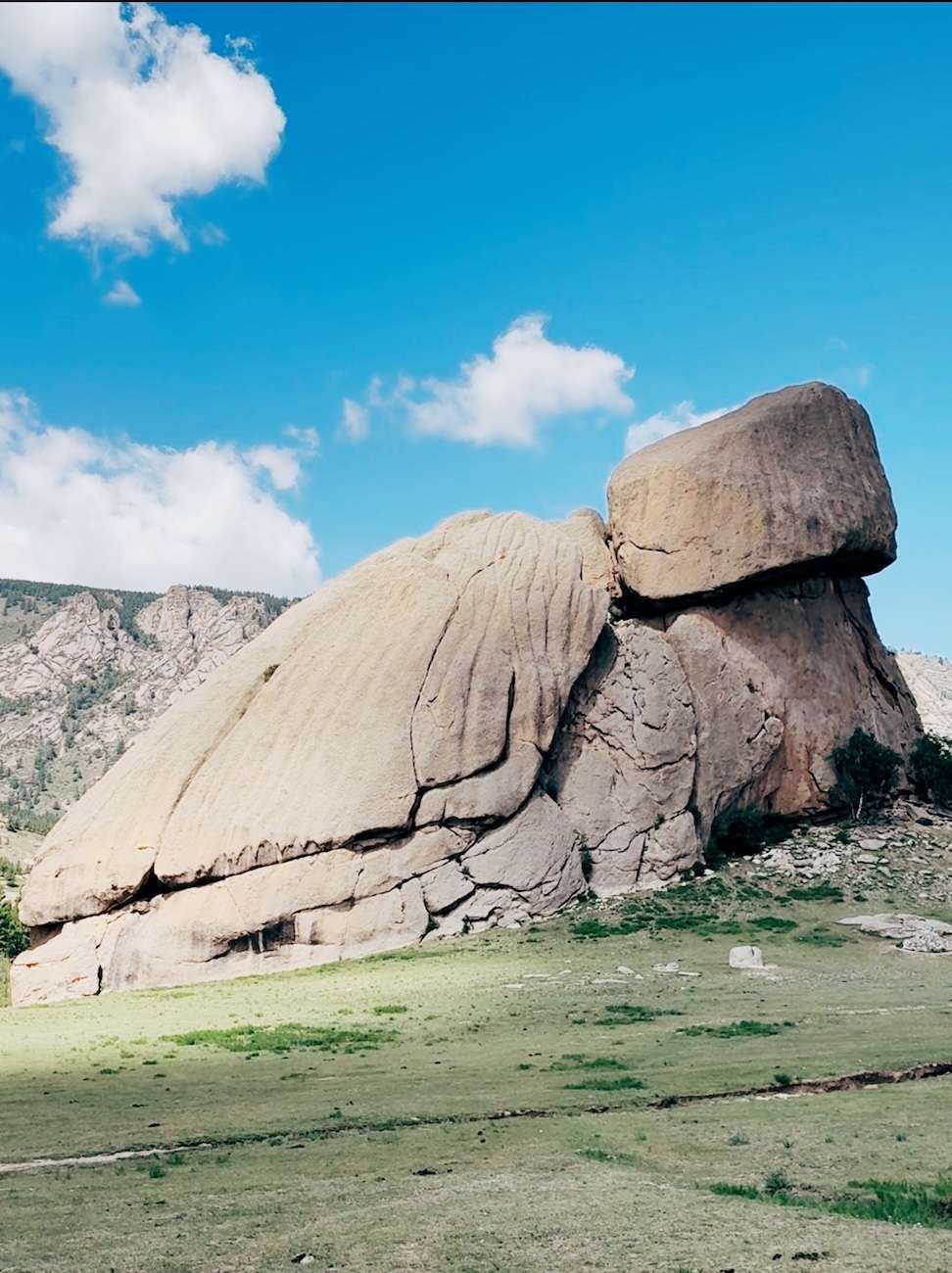 Turtle Rock 2 Turtle Rock