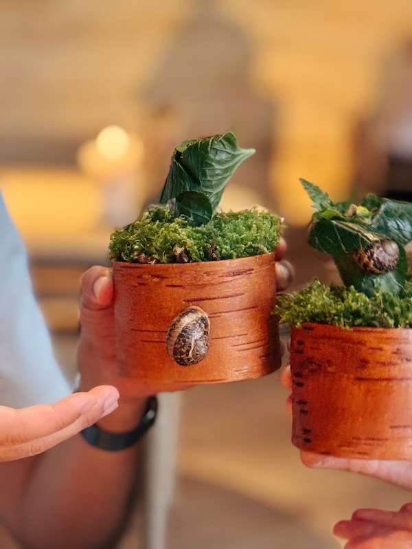 Wasabi and Snail.
