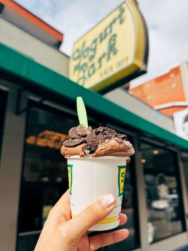 Yogurt Park