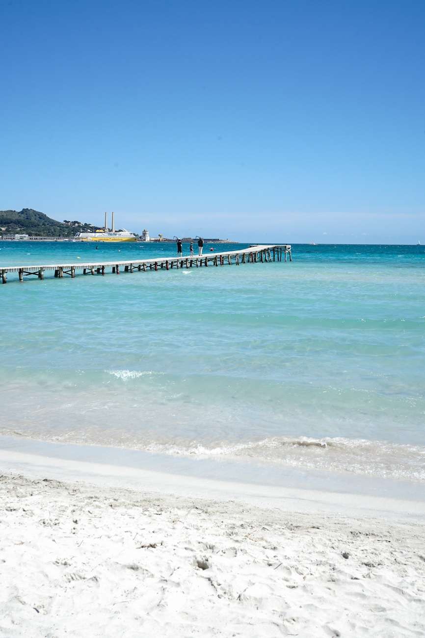 Alcudia