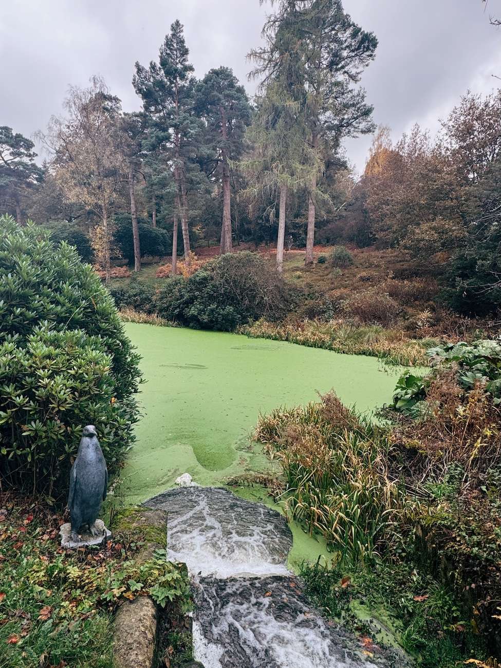 Leonardslee Lakes and Gardens