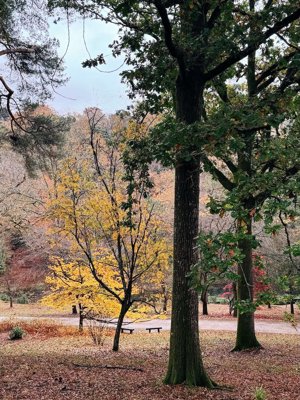 Leonardslee Lakes and Gardens