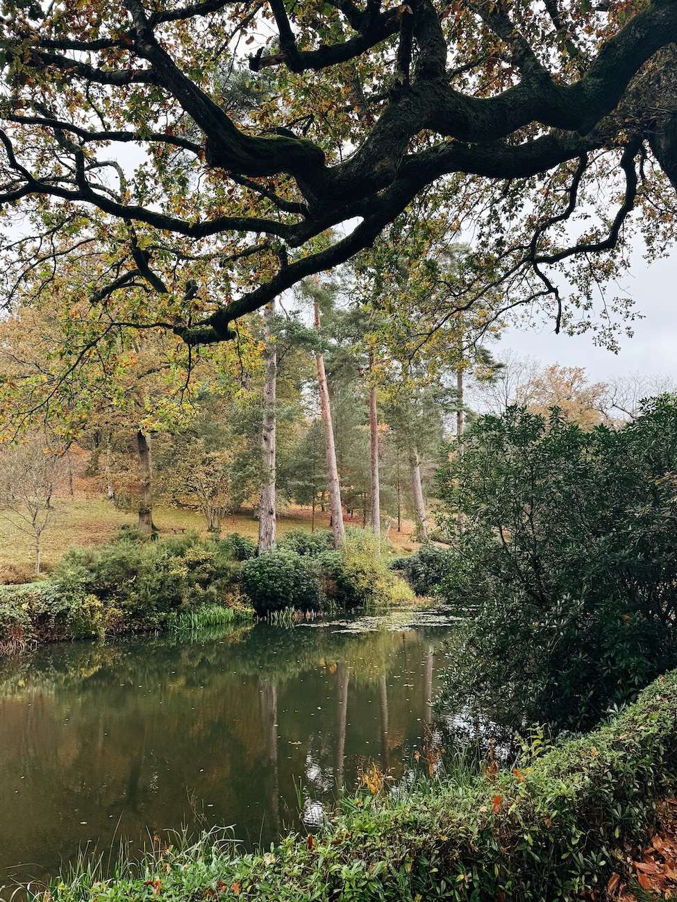Leonardslee Lakes and Gardens